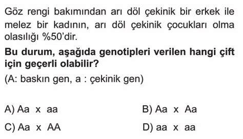 8 Sınıf Dna Ve Genetik Kod Test Çöz Lgs Çözümlü Sorular Ve Testler