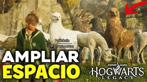 Como Tener MÁs Animales En Hogwarts Legacy Como Aumentar Espacio Vivero