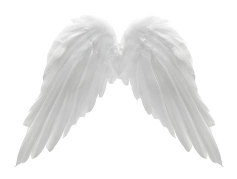 Angel wings transparent png free unlimited png download