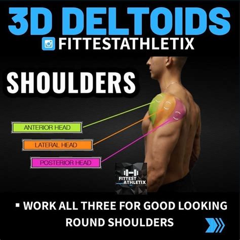 7 Muscle Building Shoulder Exercises To Build Strong 3D Shoulders