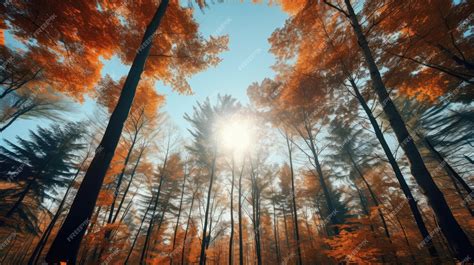 Premium AI Image | forest panorama free photo HD background