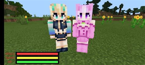 Favorites Waifu Minecraft Addon