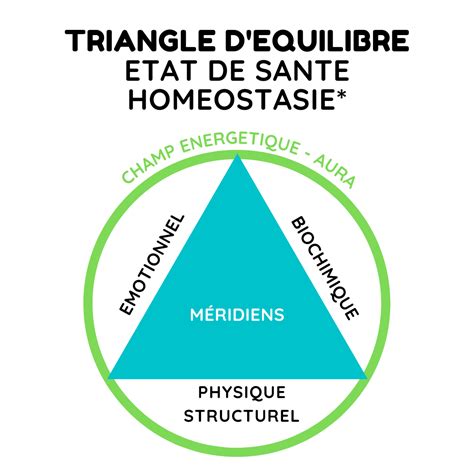 Champ D Intervention De La Kin Siologie En Savoir Plus Mieux Etre