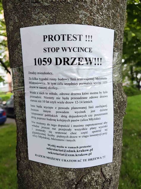 Tramwaj do Mistrzejowic Protest przeciwko wycince drzew ZDJĘCIA