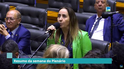 Resumo Do Plenário Veja As Votações Da Semana 22 06 23 Tv Câmara