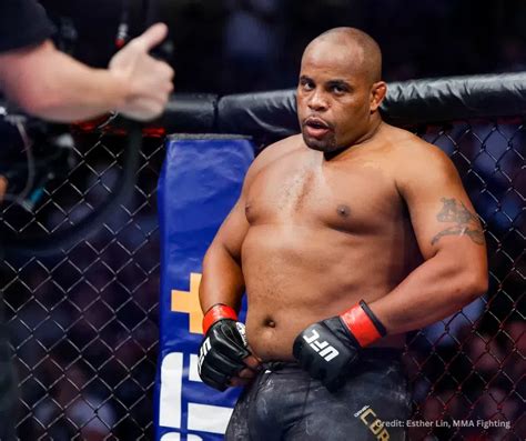 10 Best UFC Fighters of All Time (Updated 2024) - GeeksforGeeks