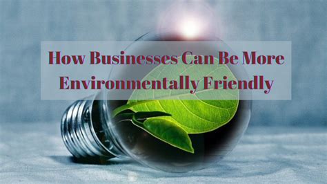 How Businesses Can Be More Environmentally Friendly | Institute of ... 