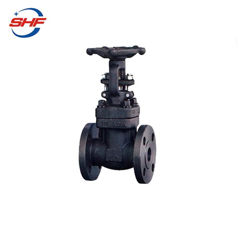 Api Forged Steel Sw Bw Npt Rf Ends Gate Valve Forged Gate Valve