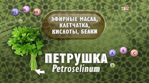 Петрушка для красоты - YouTube