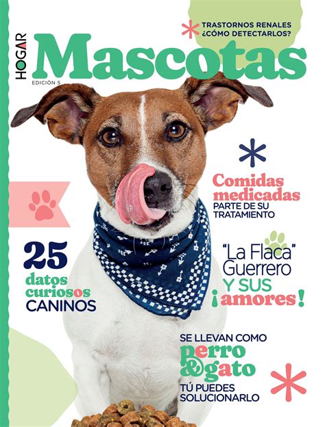 Revista Mascotas Julio 2022 By Issuu