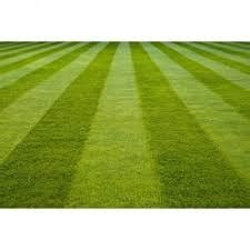 lawn grass price list  lawn grass manufacturerslawn gra suppliers