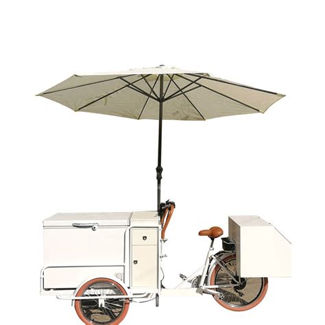 Tune New Design Ce Approved Summer Cold Drink Cart Ice Cream Bike