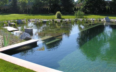 La Piscine Naturelle Baignade En Pleine Nature Dossier