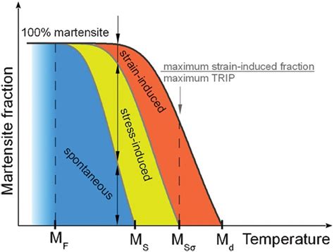 Thermodynamic‐Mechanical Modeling of Strain‐Induced α′‐Martensite ...