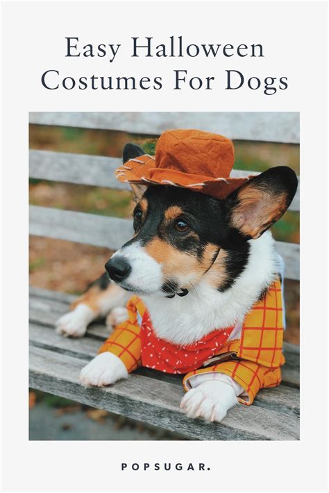 Easy Halloween Costumes For Dogs | POPSUGAR Pets