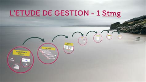 Etude De Gestion Stmg By On Prezi