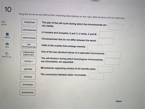 Solved Drag The Terms On The Left To Their Matching Chegg