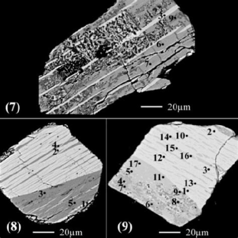 BSE Images Of 3 Different Partially Altered Ilmenite Grains Into Sphene