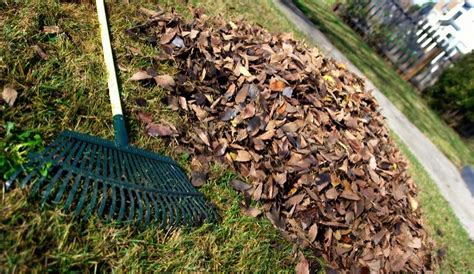 Protecting Pollinators During Fall Garden Cleanup Morning Ag Clips