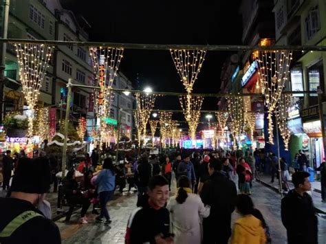 Winter Splendor The Red Panda Festival Of Sikkim