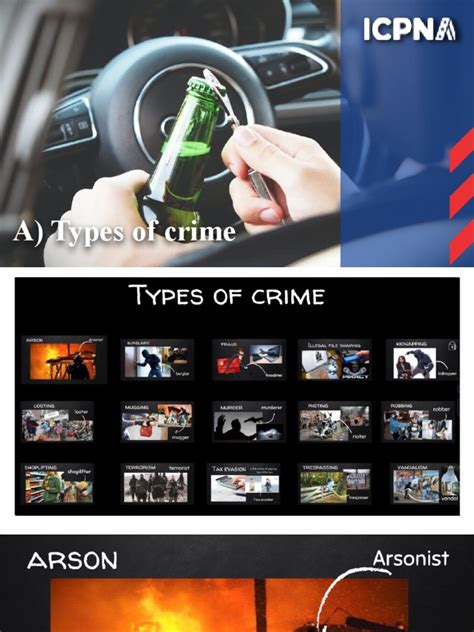 Types of Crime | PDF