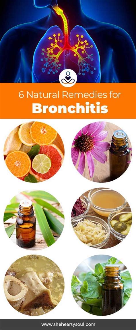 Herbal Remedies Bronchitis Herbs And Food Recipes