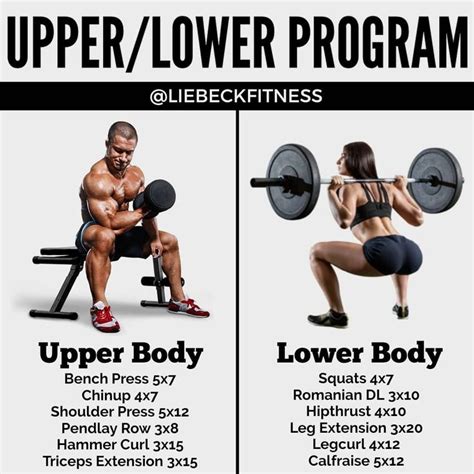 Powerful Muscle Building Gym Training Splits Gymguider Lower