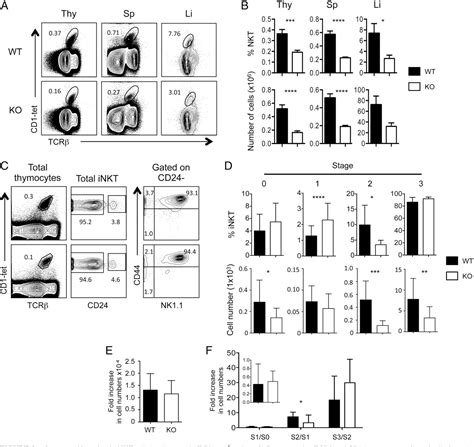 Pdf Leukemia Zinc Finger And Function Independent Of Promyelocytic