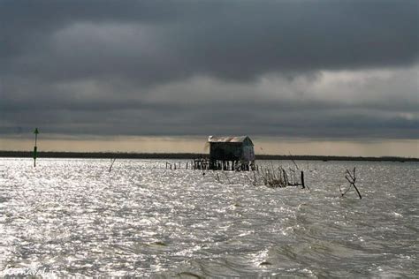 Anzali Lagoon Iran Travel Guide Trip Yar