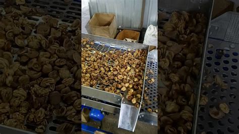 Вибро-сито - YouTube