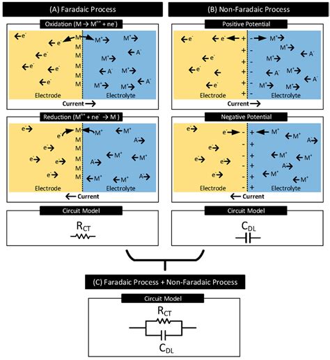 A Faradaic Process Oxidation And Reduction Reactions Occur At The Download Scientific