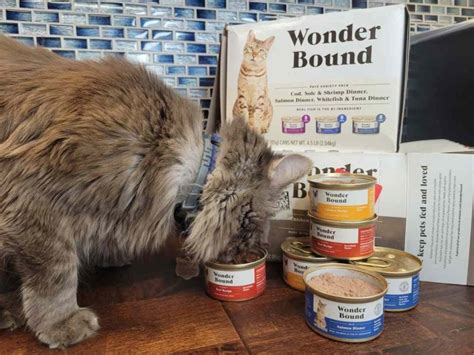 Unbiased Meowing Heads Cat Food Review