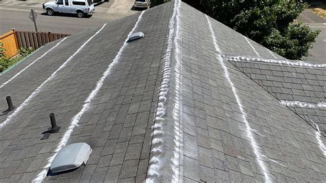 Moss Removal Seattle WA Roof Moss Control Treatment