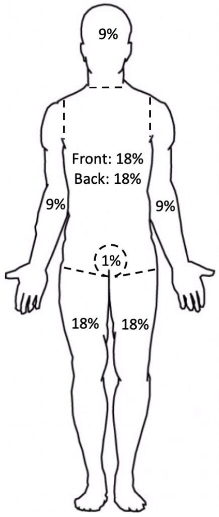 Burns - The Operative Review Of Surgery