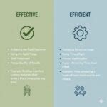 difference  effective  efficient differencess