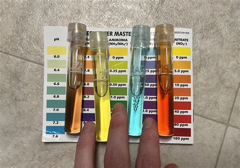 how to lower nitrates in aquarium 13