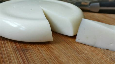 Queijo De Leite Materno - Queijo de leite materno: você faria? Veja a receita se quiser ...