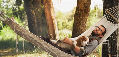 Camping et animaux prévoyez l essentiel pour des vacances avec votre