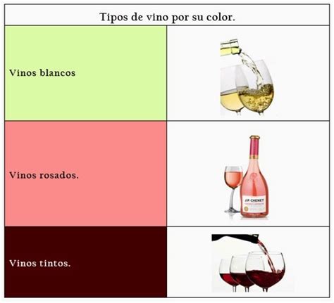 Enología y Vitivinicultura Turismo 7mo semestre UAEH Las