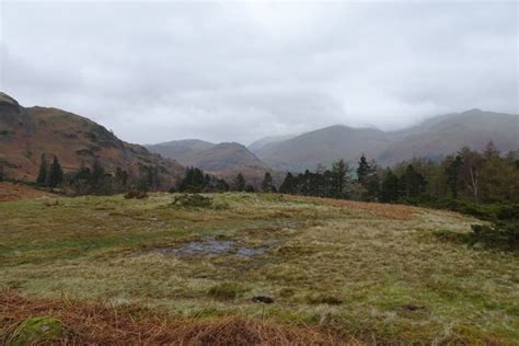 Boggy Ground Above Wyke Plantation Ds Pugh Cc By Sa Geograph