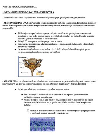 Apuntes De Anatom A Para La Actividad F Sica Y El Ejercicio