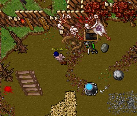 Uma Análise Sobre A História De Rookgaard Tibia Stories