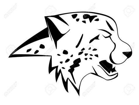 Cheetah Drawing Step By Step at GetDrawings | Free download