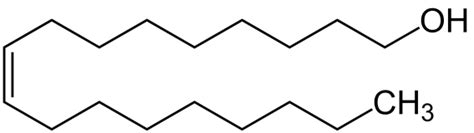 What Is The Difference Between Fatty Alcohol Fatty Acid And Fatty Ester