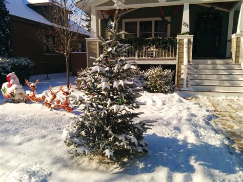 Elmhurst Front Yard Christmas Tree - 2014 Edition