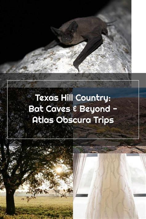 texas hill country bat caves and beyond atlas obscura trips