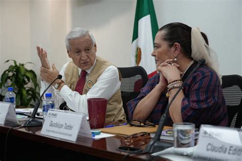 Observadores Internacionales Preocupados Por Violencia Pre Electoral En