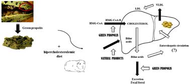 Brazilian Green Propolis Extracts Modulate Cholesterol Homeostasis In A