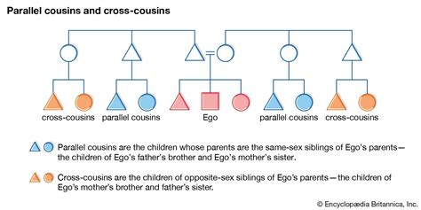 Cross Cousin Marriage Kinship And Alliance Britannica