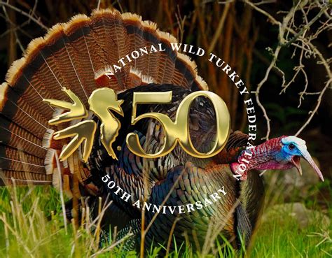 The National Wild Turkey Federation On Twitter 50 Years Later We